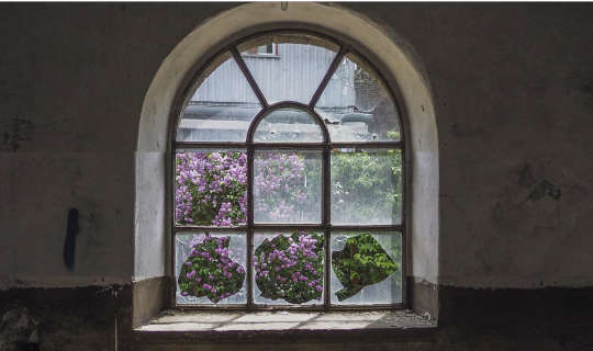 Rewilding the Imagination in Dangerous Times 05 21 rewilding the imagination in dangerous times 5362430 1920